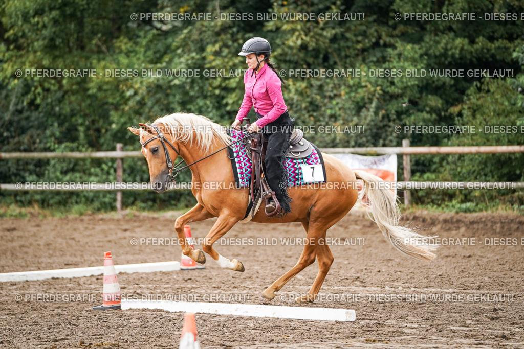 DSC03827 | Pferdegrafie