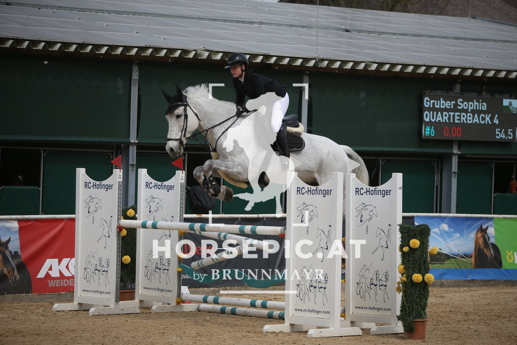 PP017811 | Willkommen bei Brunnmayr - Design & Fotografie – Ihrem Spezialisten für Reitturniere und Pferdeveranstaltungen in Oberösterreich, Salzburg und Bayern! Seit über 17 Jahren sind wir leidenschaftlich dabei.