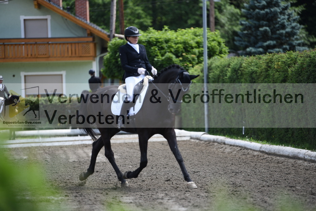 DSC_1363 | equestrian-live-com