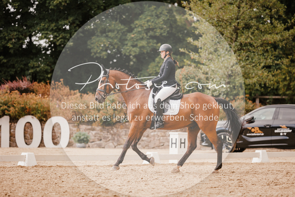 3I6A6326 | Stimmungsvolle Portraits und Reitsportfotografie im Ruhrgebiet und im Münsterland.

Pferdefotografie, Hundefotografie, Tierfotografie, Reportagen, Portraits von Tier und Mensch, Turnierfotografie in Bochum, Recklinghausen, Marl, Haltern am See, Dülmen.. - Realisiert mit Pictrs.com