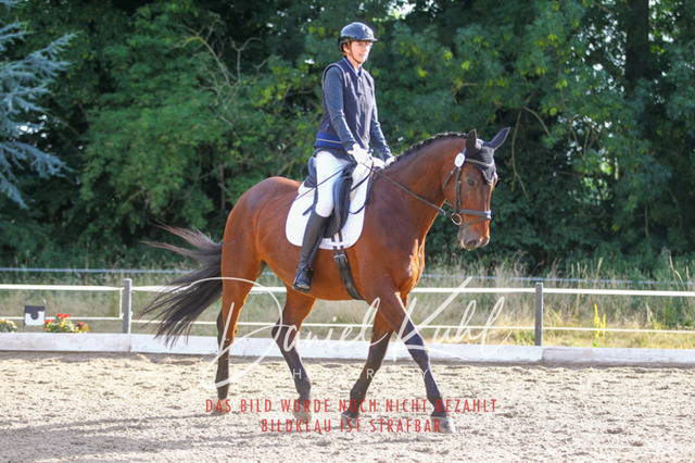 DKP45459 | Turniersportfotografie; Pferdefotografie; Dressurfotografie