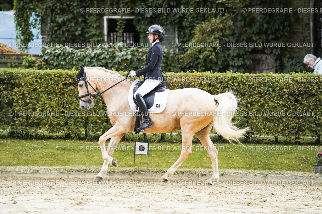 DSC06789 | Pferdegrafie