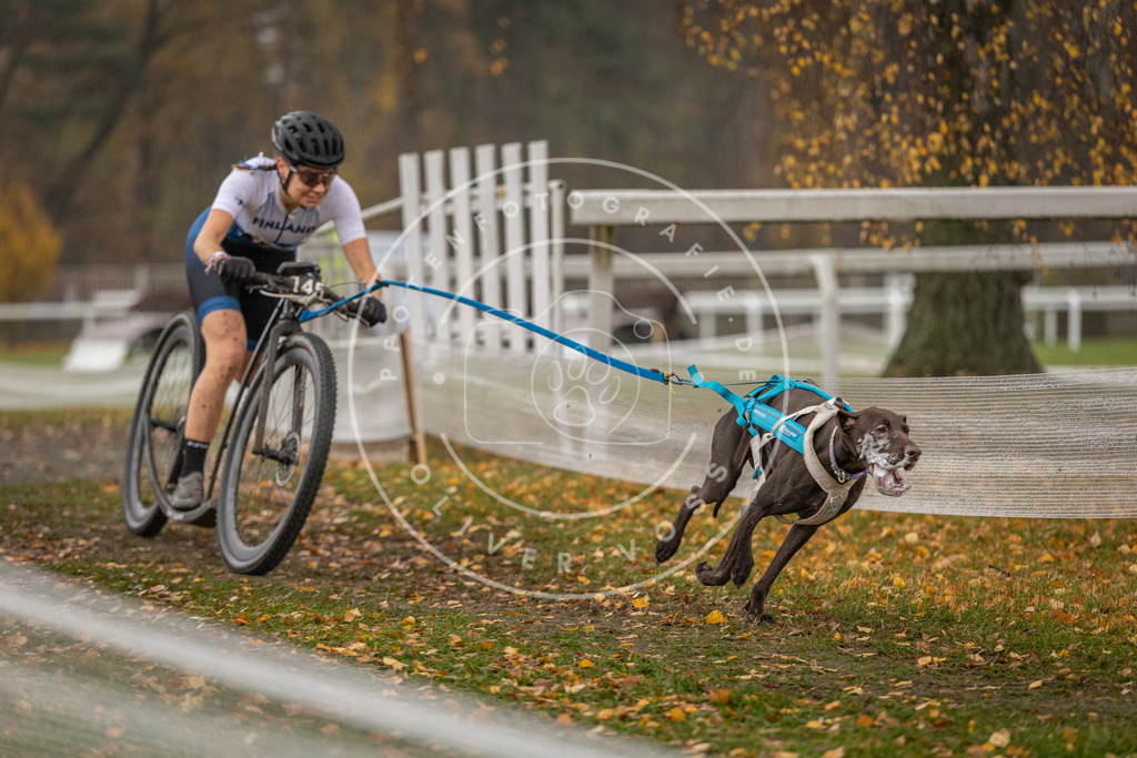 CaniXpix_DV3A8040 | Hundefotografie, Tierfotograf, Pfotenfotografie, Fotoshooting Hund, Hunde Portrait, Hundesport, Hundeportraits, Heideshooting, Hunde, Sportfotograf, Hundefotograf, Turnierhundsport, THS,  - Realisiert mit Pictrs.com