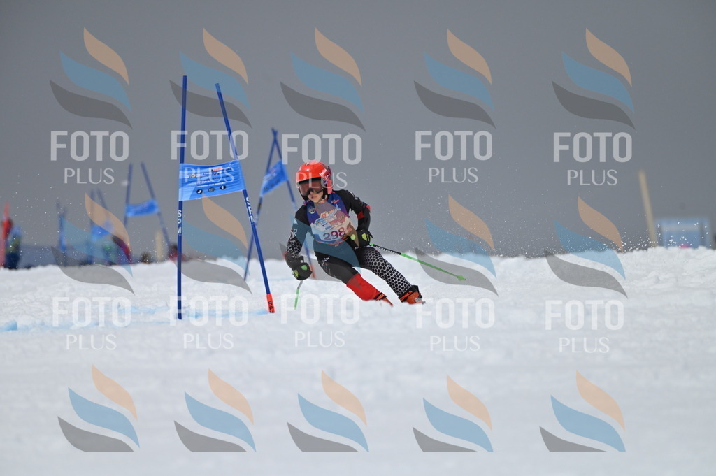 AGV_6303 | holidayphoto