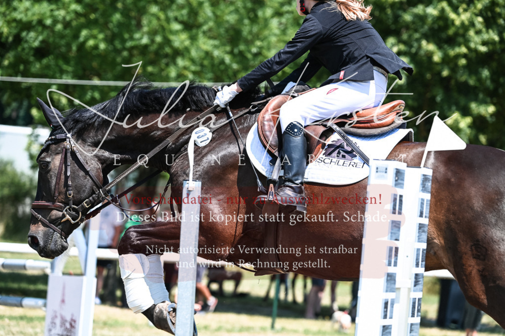 DSC_0347 | Pferde- und Turnierfotografie in Westsachsen. Pferdeportraits, Auftragszeichnungen und intuitive Kunst.