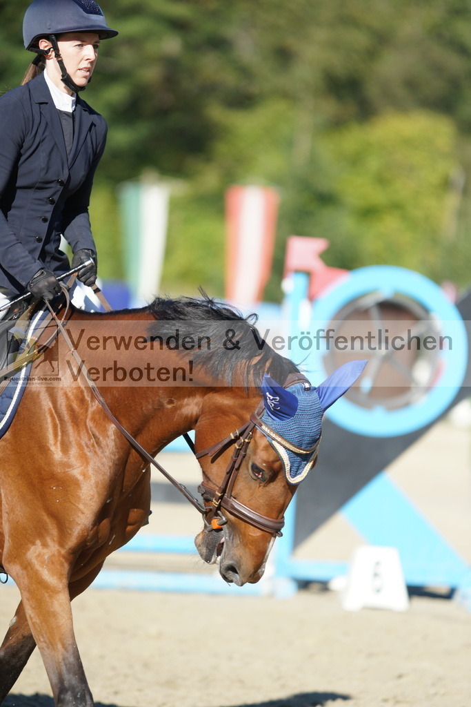 DSC08274 | equestrian-live-com