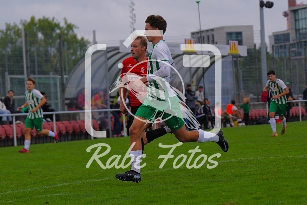 SON05376 | rabefotos