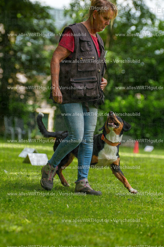 @allesWIRTHgut_Tierfotografie - www.allesWIRTHgut.de - 7R504607 | Professionelle Tierfotografie in Mönchengladbach von Daniel Wirth (allesWIRTHgut). Liebevolle & natürliche Bilder von Hunden & Katzen für unvergessliche Erinnerungen.