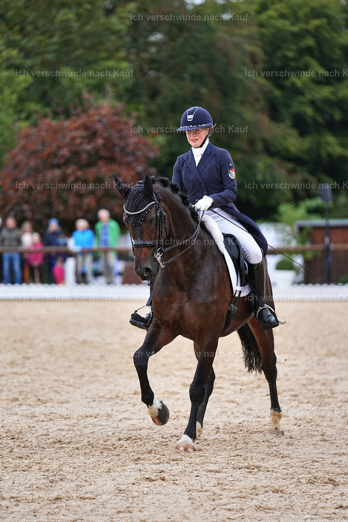 8_2-056-DRESSUR S_  -Marixx-4597 | working equitationturnier fotograf videograf stoibphotography marixx film working equitation deutschland reitsport turnierfotografie eventfotografie equestrian events