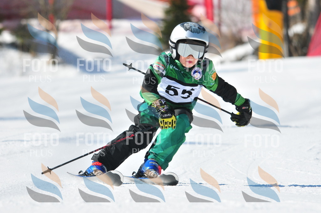 C2888 | holidayphoto