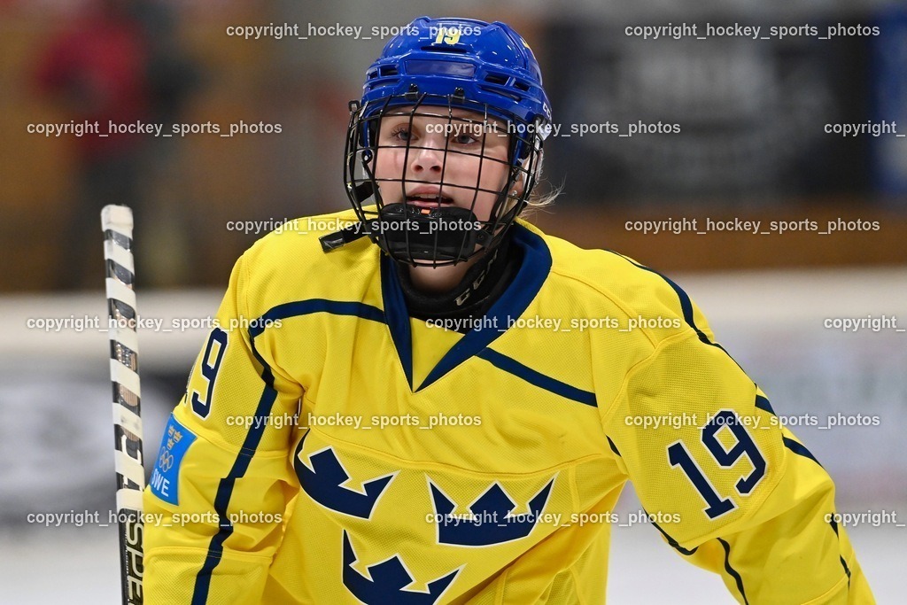 BST_4784 | hockey sports photos, Pressefotos, Sportfotos, hockey247, win 2day icehockeyleague, Handball Austria, Floorball Austria, ÖVV, Kärntner Eishockeyverband, KEHV, KFV, Kärntner Fussballverband, Österreichischer Volleyballverband, Alps Hockey League, ÖFB, 