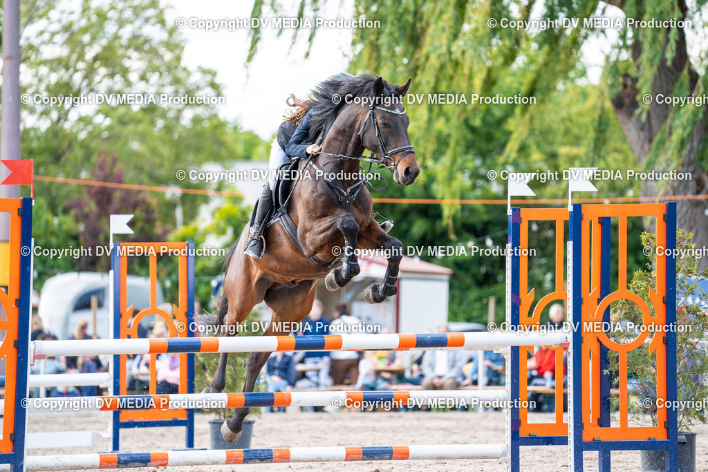 Eppelheim Tag 2-603 | dv-media-shop - Realisiert mit Pictrs.com