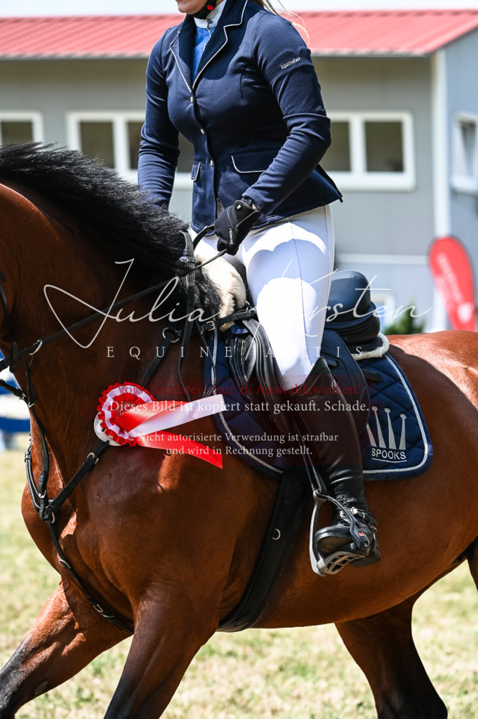 DSC_9513 | Pferde- und Turnierfotografie in Westsachsen. Pferdeportraits, Auftragszeichnungen und intuitive Kunst.