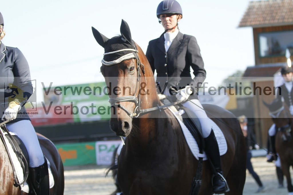 _MG_2926 | equestrian-live-com