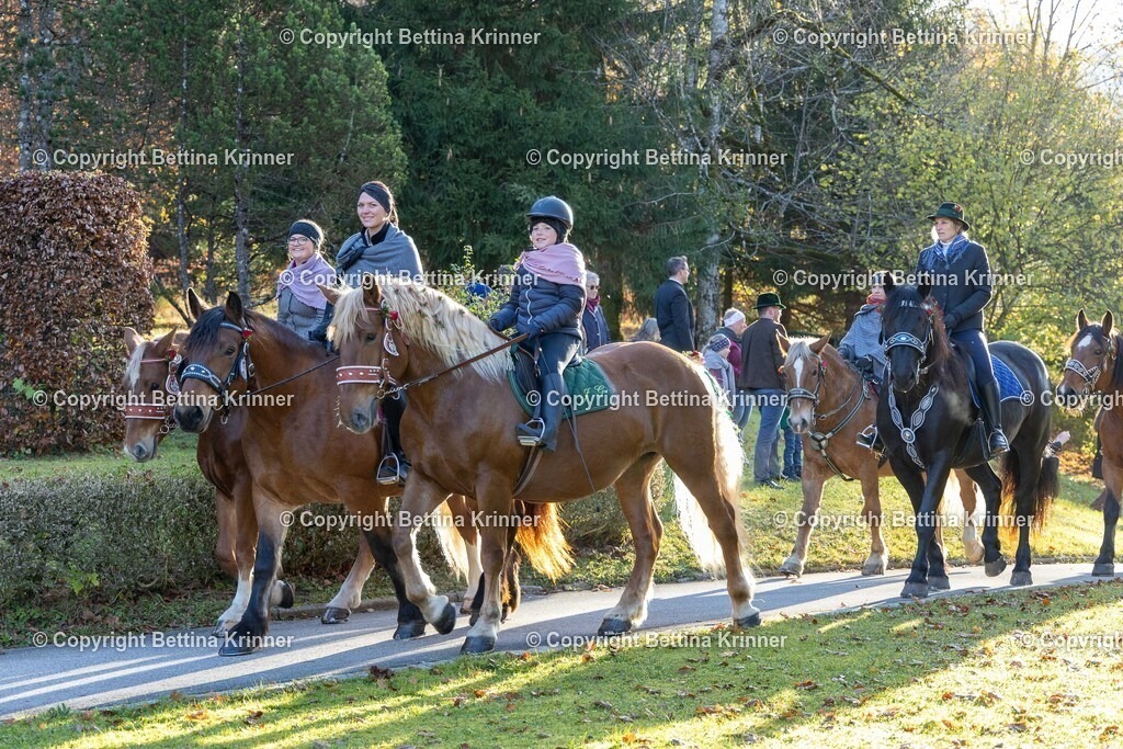 LL24-159 | foto-bettina-krinner - Realisiert mit Pictrs.com