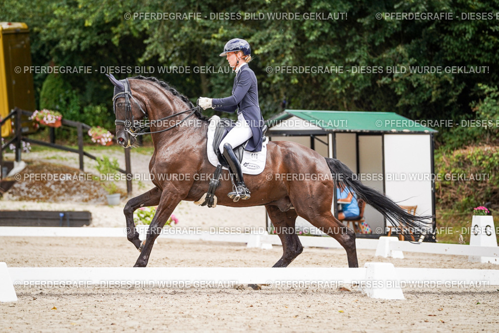 DSC06076 | Pferdegrafie