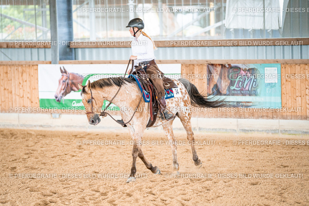 DSC09393 | Pferdegrafie