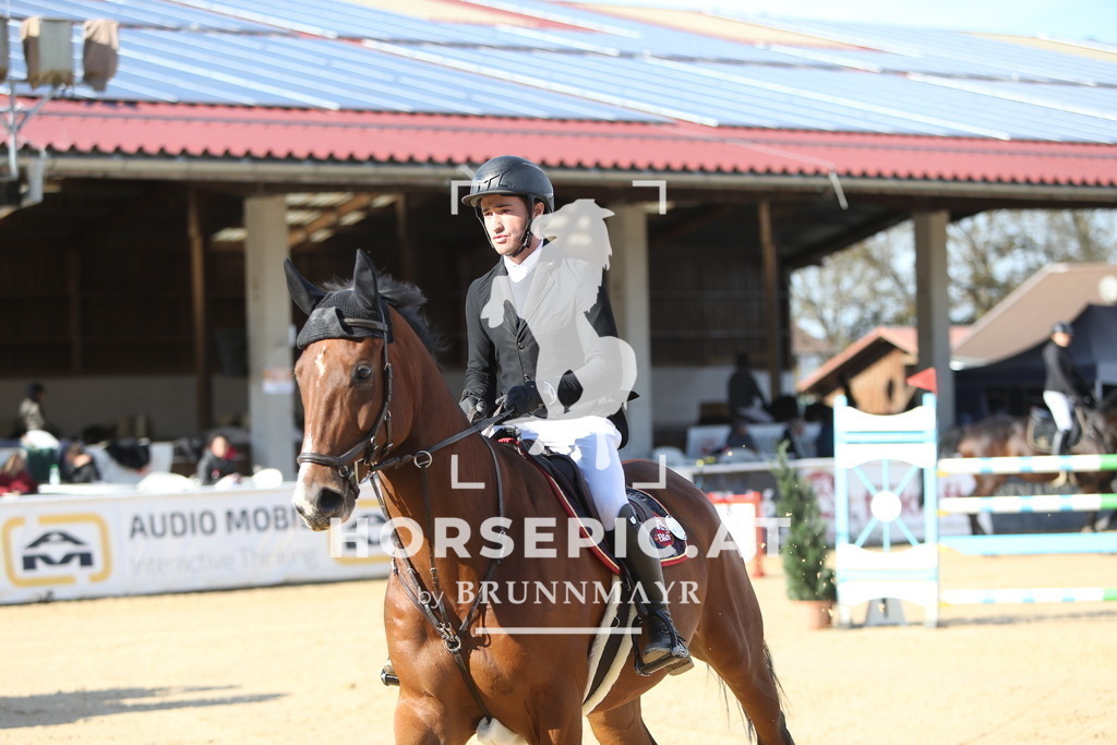 DL2Q5761 | Willkommen bei Brunnmayr - Design & Fotografie – Ihrem Spezialisten für Reitturniere und Pferdeveranstaltungen in Oberösterreich, Salzburg und Bayern! Seit über 17 Jahren sind wir leidenschaftlich dabei.