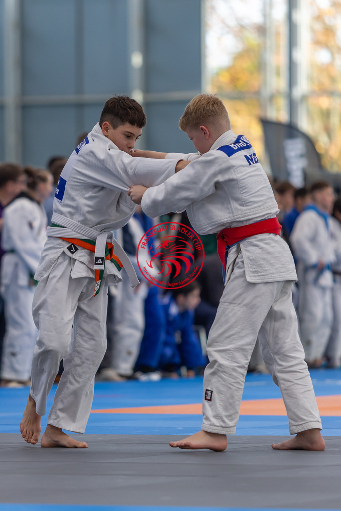 Internationaler Adler Cup 2024 | Foto vom Internationalen Adler Cup Judo Turnier im Sport- und Freizeitzentrum Kalbach im Oktober 2024 - Realisiert mit Pictrs.com