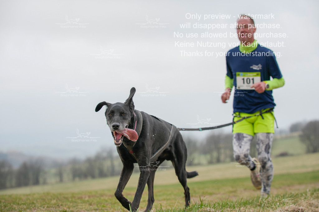 Canixlong-298 | stephaniefillaphotographie - Realisiert mit Pictrs.com