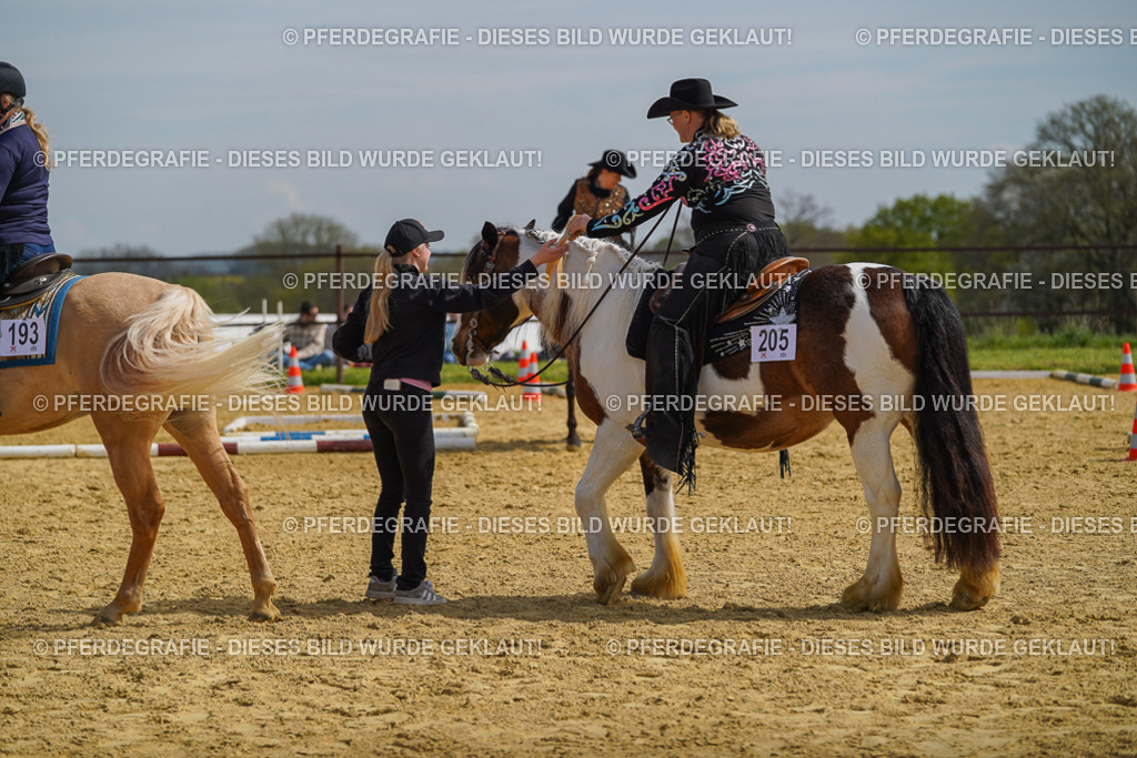 DSC04210 | Pferdegrafie