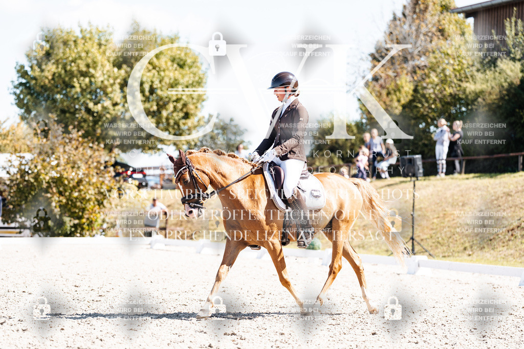 CK903742 | Turnierfotografie Pferdefotografie Trier Rheinland-Pfalz Pferdesport Reitsport Tierfotografie Sportfotografie Pferdevideo Pferdevideografie Equestrianvideography equestrianphotography  - Realisiert mit Pictrs.com