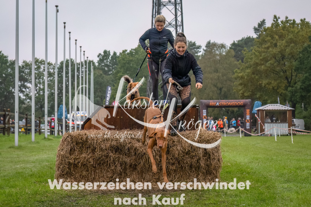 1225--8 | kk-dogfotos