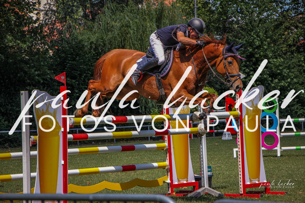 IMG_9668 | Erleben Sie dynamische Sport- und emotionale Tierfotografie in Süddeutschland mit Fotos von Paula. Spezialisiert auf Pferde- und Hundefotografie sowie Sportevents. Kontaktieren Sie mich für einzigartige und ausdrucksstarke Bilder Ihrer besonderen Momente.