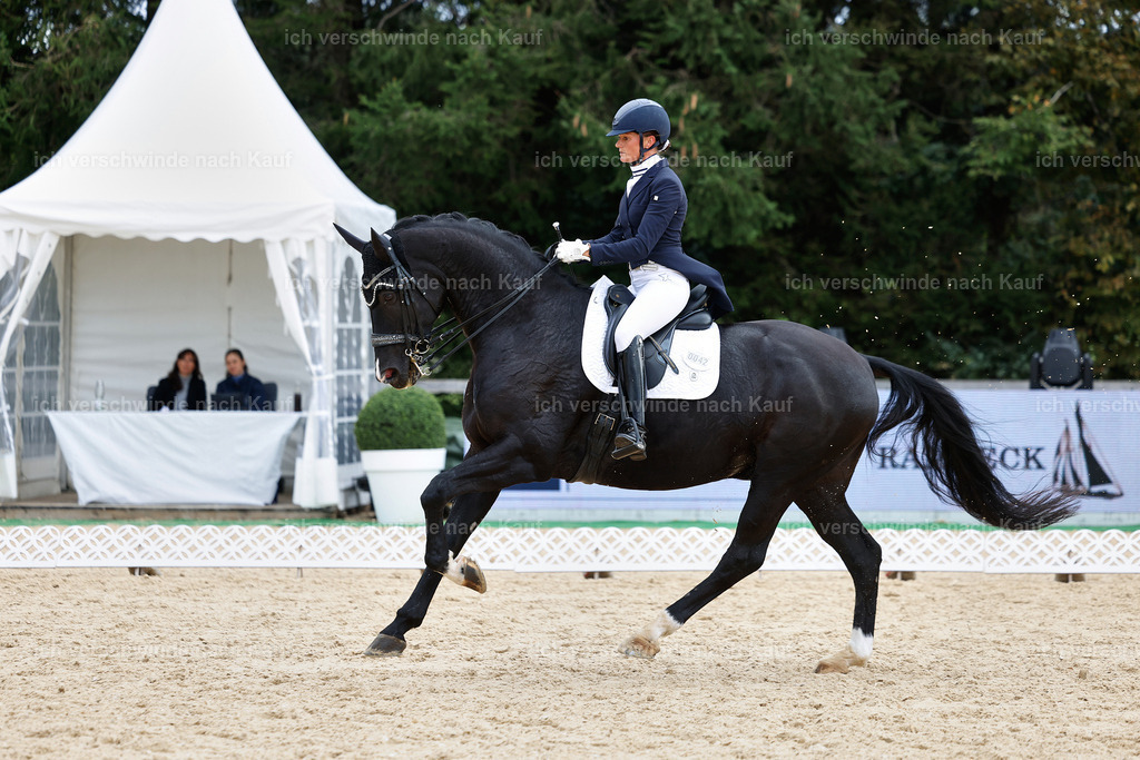 11-042-Dressur S___-StoibPH-1200 | working equitationturnier fotograf videograf stoibphotography marixx film working equitation deutschland reitsport turnierfotografie eventfotografie equestrian events