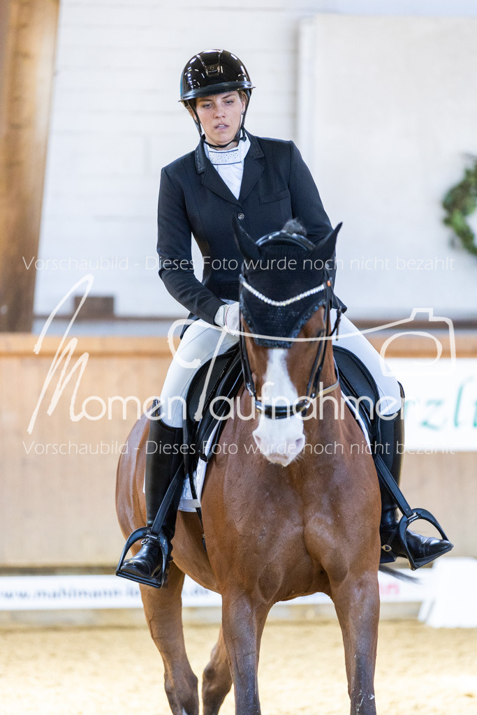 Sth-LPO25-DrR-L-207 | MomenTaufnahmen Pferdesportfotos