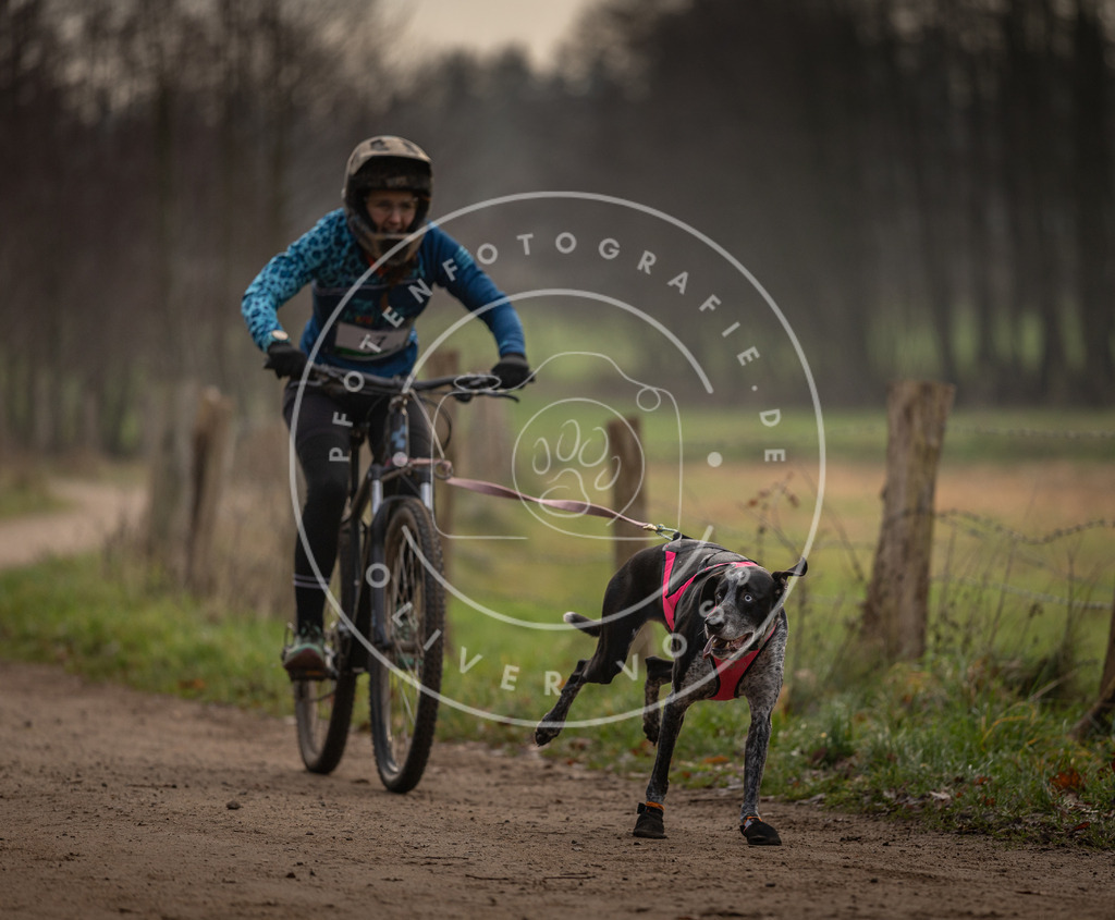 Pfotenfotografie_DV3A1900 | Hundefotografie, Tierfotograf, Pfotenfotografie, Fotoshooting Hund, Hunde Portrait, Hundesport, Hundeportraits, Heideshooting, Hunde, Sportfotograf, Hundefotograf, Turnierhundsport, THS,  - Realisiert mit Pictrs.com