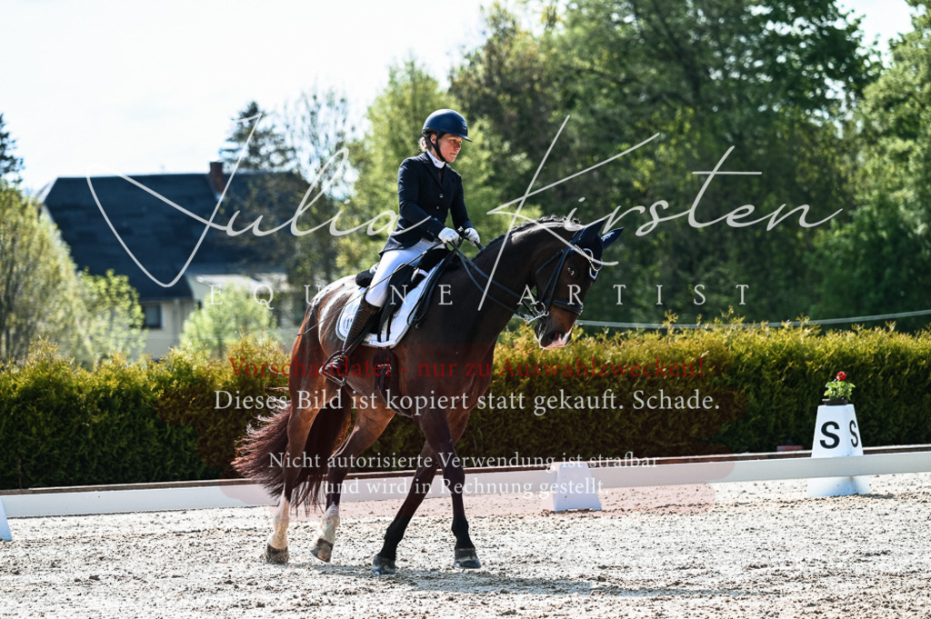 20230513_JK-Röhrsdorf-10-0433 | Pferde- und Turnierfotografie in Westsachsen. Pferdeportraits, Auftragszeichnungen und intuitive Kunst.