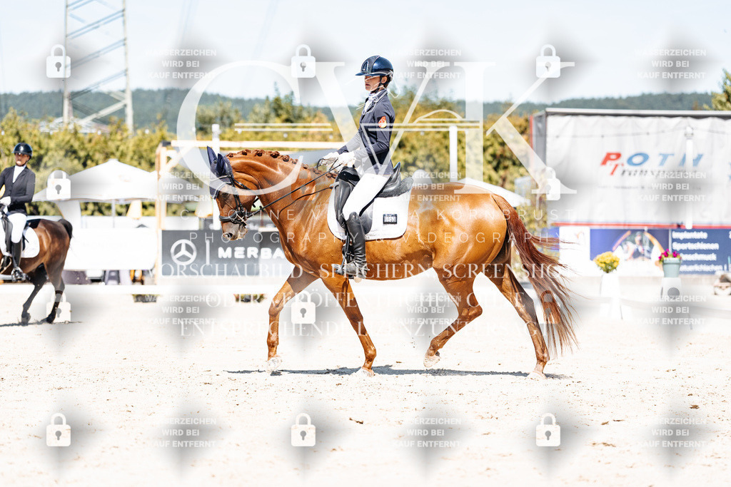 CK909629 | Turnierfotografie Pferdefotografie Trier Rheinland-Pfalz Pferdesport Reitsport Tierfotografie Sportfotografie Pferdevideo Pferdevideografie Equestrianvideography equestrianphotography  - Realisiert mit Pictrs.com
