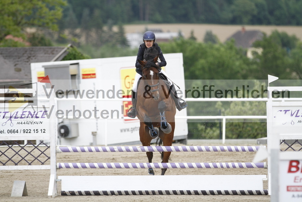 _MG_1025 | equestrian-live-com