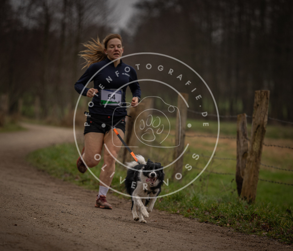 Pfotenfotografie_DV3A2990 | Hundefotografie, Tierfotograf, Pfotenfotografie, Fotoshooting Hund, Hunde Portrait, Hundesport, Hundeportraits, Heideshooting, Hunde, Sportfotograf, Hundefotograf, Turnierhundsport, THS,  - Realisiert mit Pictrs.com