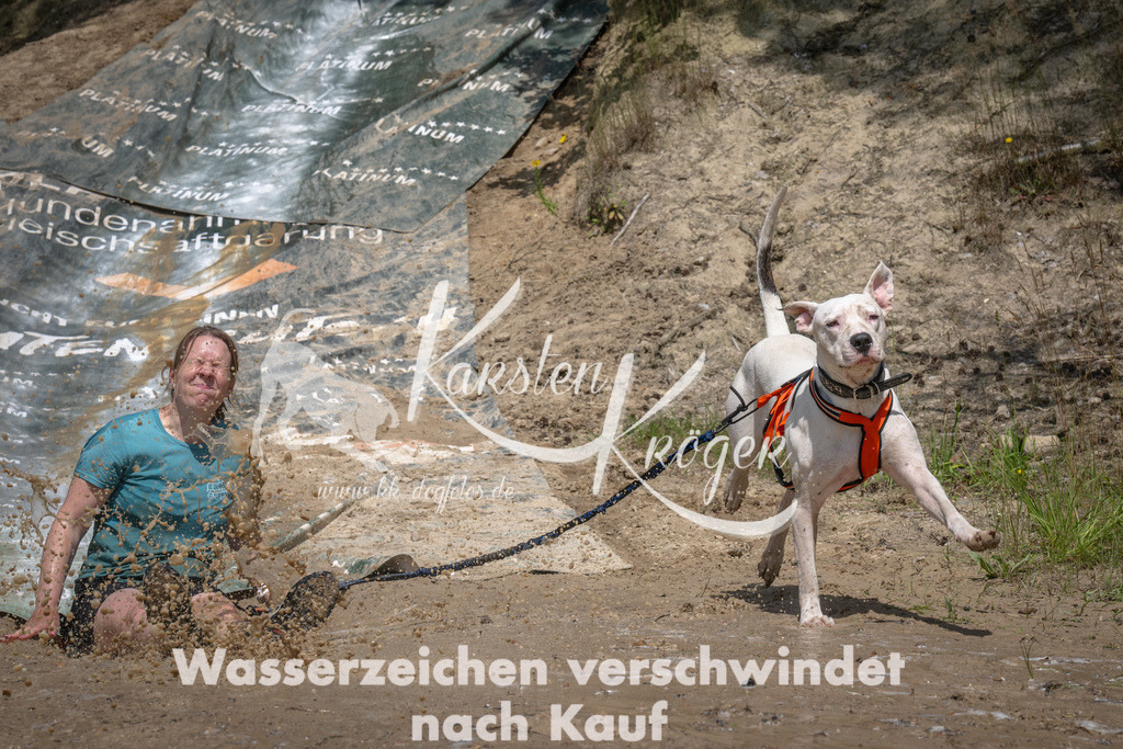 1446_ZZ90758 | kk-dogfotos