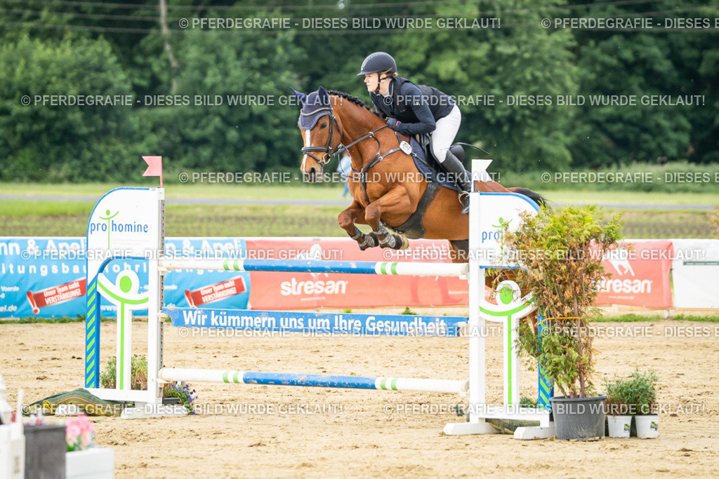 DSC06581 | Pferdegrafie