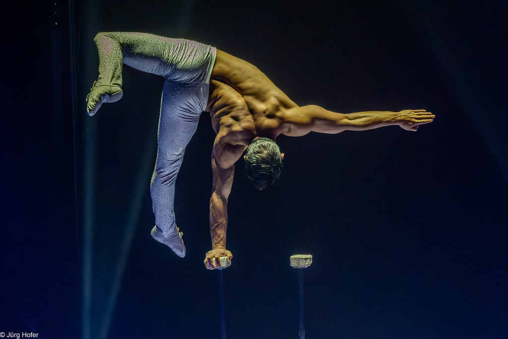 Weihnachtscircus Lörrach-9 | Hofer-Images - Realisiert mit Pictrs.com