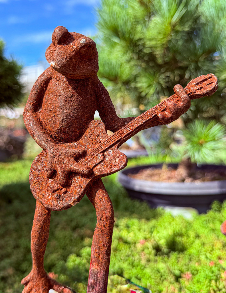 Rostiger Frosch mit Gitarre – Kreative Garten Fotokunst | Originelle und haptische Detailfotografie: Dieses High-End Wandbild zeigt einen rockenden Frosch mit Gitarre aus patiniertem, rostigem Metall vor einem weichen, grünen Naturhintergrund. Der lebendige Kontrast aus warmen Rosttönen und sattem Grün bringt Kreativität, Humor und musikalisches Flair in jeden Raum. Ein exklusiver Blickfang in Galeriequalität auf Alu-Dibond oder Leinwand – ideal für Wintergärten, Musikzimmer oder als Geschenk für Gitarren-Fans. - Realisiert mit Pictrs.com