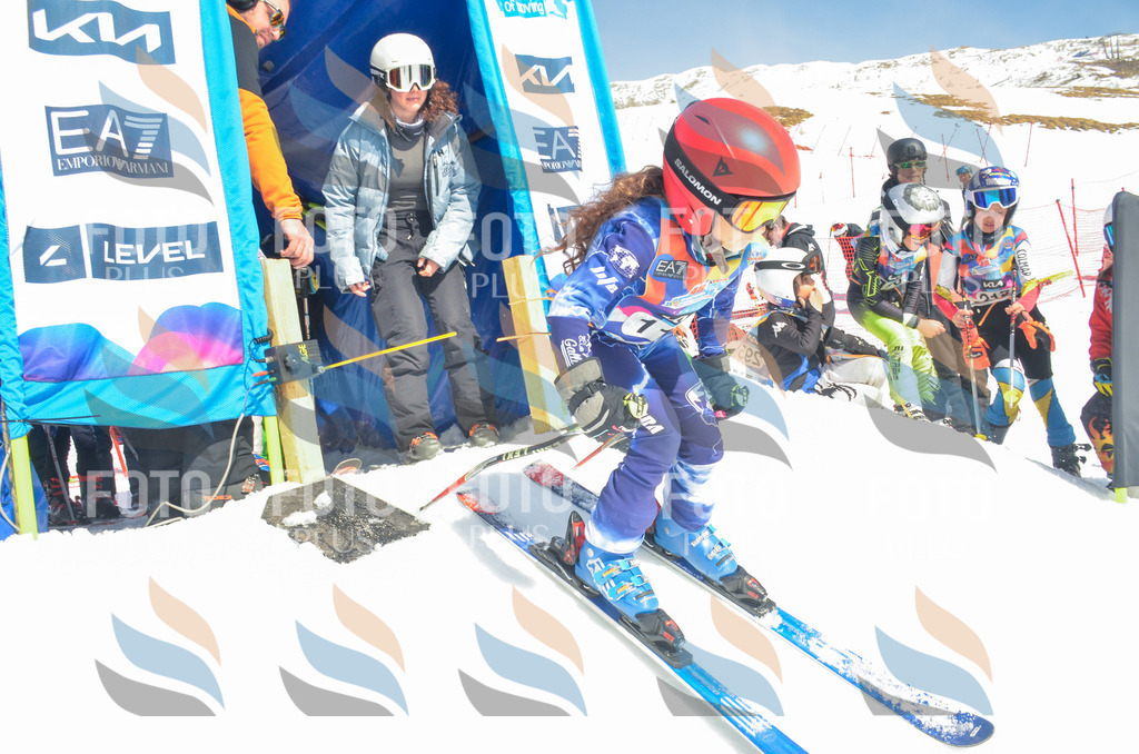 _ELE5963 | holidayphoto