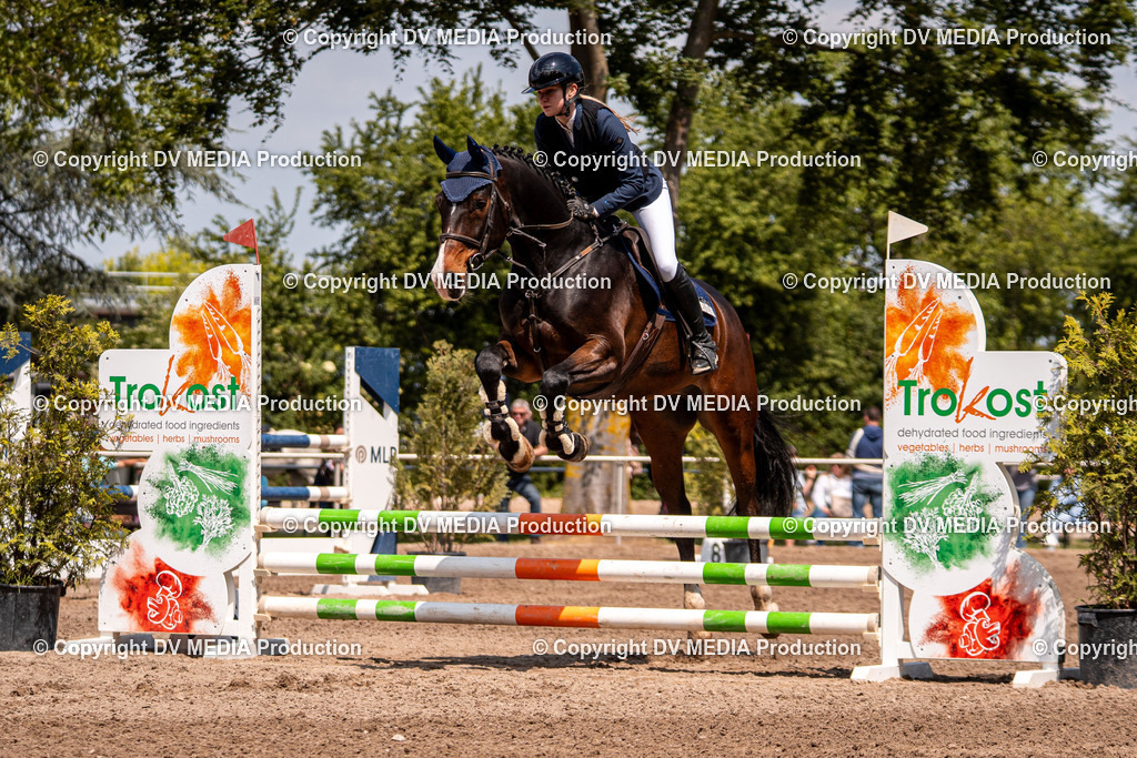 Eppelheim Tag 3-464 | dv-media-shop - Realisiert mit Pictrs.com