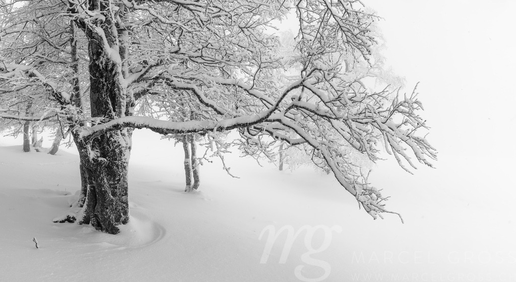 20231202-CreuxDuVan-0077-Pano | Die ideale Geschenkidee für Naturliebhaber. Naturbilder von Marcel Gross Photography für ihr Zuhause in den verschiedensten Formaten und Materialien. - Realisiert mit Pictrs.com