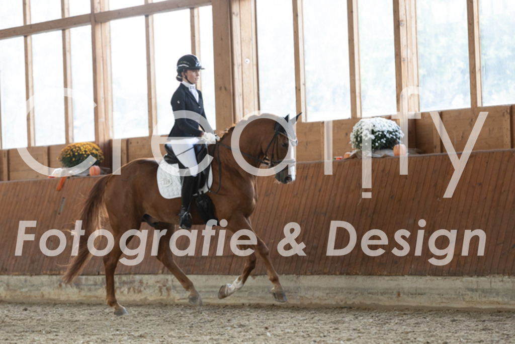 IMG_2172 | Creatify Fotografie