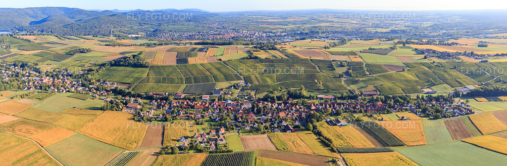 Aerial view: Village panorama from the southwest in Steinseltz in the state Bas-Rhin, France. – Photo: IMG_138953-Pano.jpg taken on 09/24/2023 by Werner Riehm/FLY-FOTO.com – Resolution of the original: 13292 x 4366 px