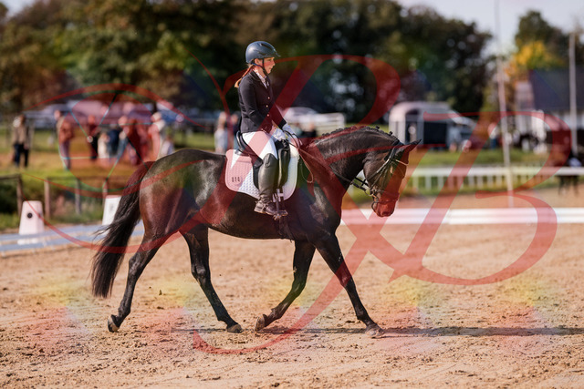 2026_10_03_Siefer-Hof_121424_Z81_16403781 | Professionelle Reitsport-, Turnier- und Eventfotografie von Robert Broda. Galerien mit ausgewählten und bearbeiteten Bildern direkt online ansehen und bestellen.