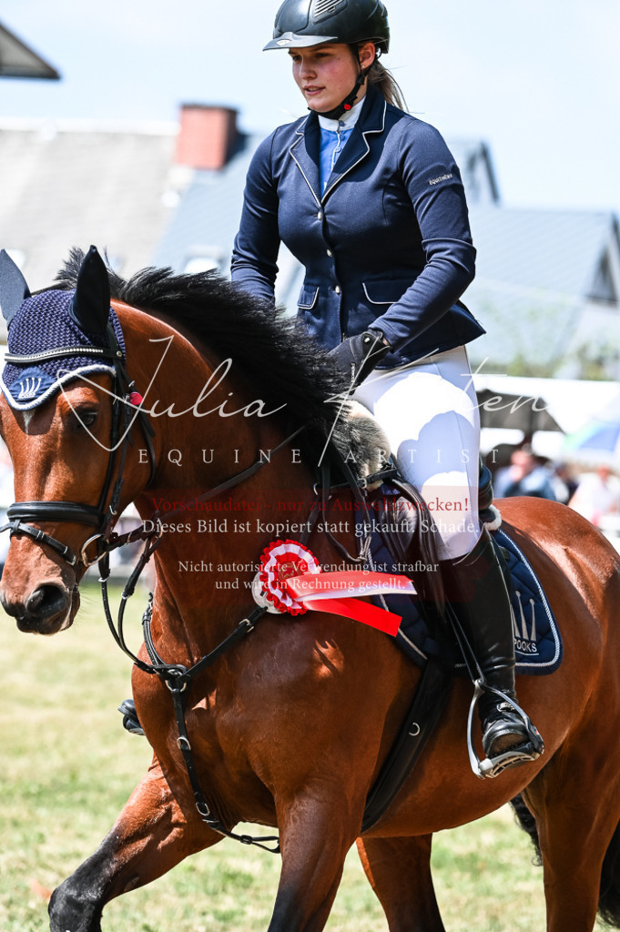 DSC_9512 | Pferde- und Turnierfotografie in Westsachsen. Pferdeportraits, Auftragszeichnungen und intuitive Kunst.