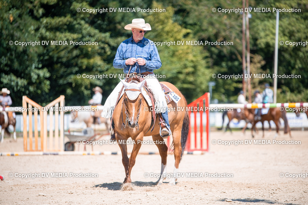 ZS1_1406 | dv-media-shop - Realisiert mit Pictrs.com