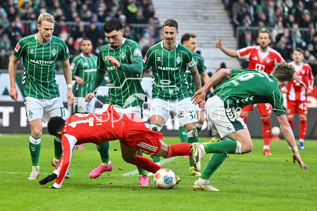 SV Werder Bremen - FC Bayern München | BREMEN, GERMANY - 14. FEBRUARY: v. l. Marco GRÜLL (SV Werder Bremen 17), Luis DIAZ (FC Bayern Munich 14), Cameron PUERTAS CASTRO (SV Werder Bremen 18), Marco FRIEDL (SV Werder Bremen 32) und Jens STAGE (SV Werder Bremen 6) während dem Bundesligamatch zwischen dem SV Werder Bremen und dem FC Bayern München am 22. Spieltag im Weserstadion / DFL REGULATIONS PROHIBIT ANY USE OF PHOTOGRAPHS AS IMAGE SEQUENCES AND/OR QUASI-VIDEO