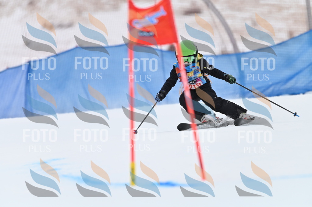 BGV_2975 | holidayphoto