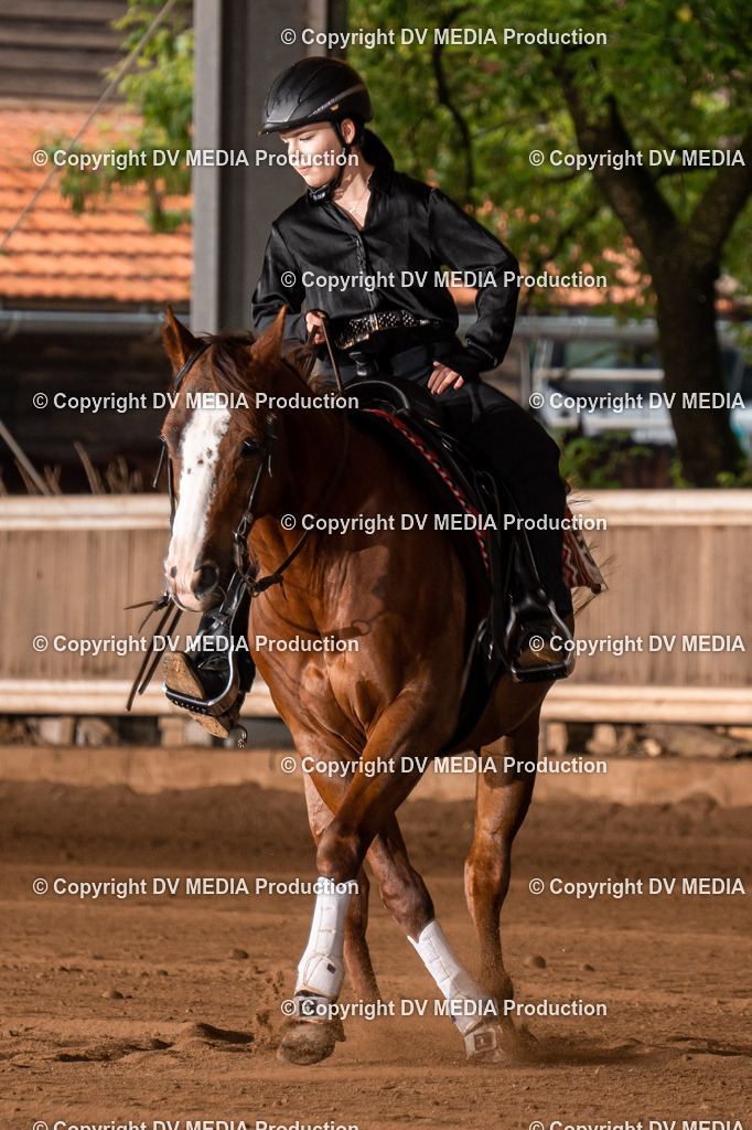 Erbach Tag 3-834 | dv-media-shop - Realisiert mit Pictrs.com